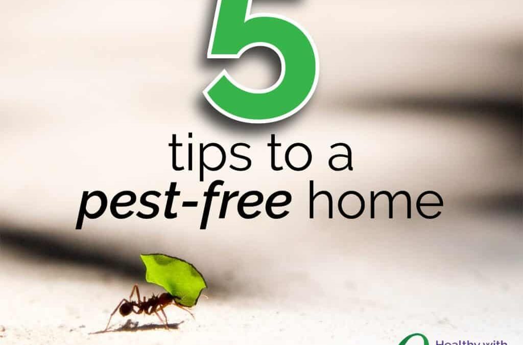 5 Tips to a Pest-Free Home